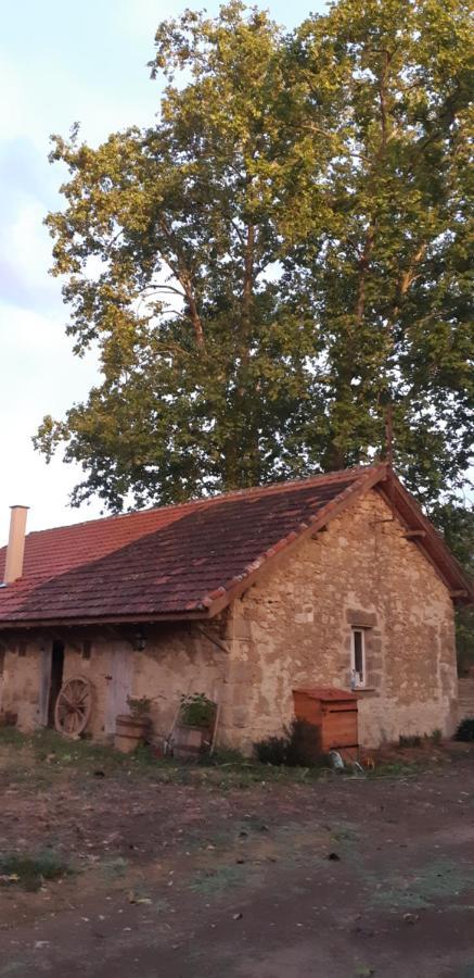 Le gîte de Gracio Vic-Fezensac Exterior foto